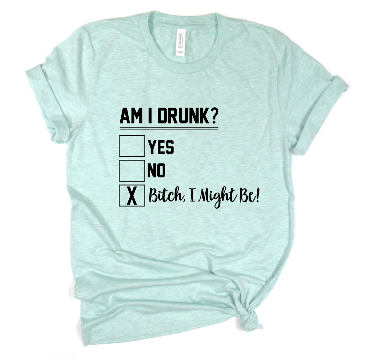 am I drunk bitch I might be t-shirt